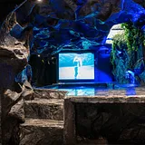 La Rock • 5BR King Bed Cave + Jacuzzi @ Lleras photo 2