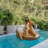 Amenity Packed W Cold Plunge/Sauna/Pool/Jacuzzi photo 15